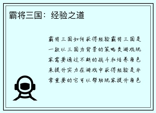 霸将三国：经验之道